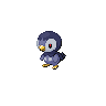 Shadow Piplup